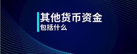其他貨幣資金包括什么