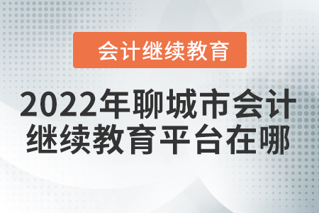 2022年聊城市會(huì)計(jì)人員繼續(xù)教育平臺(tái)在哪？
