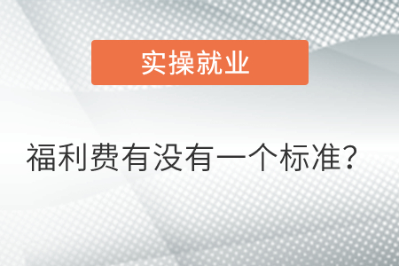 福利費(fèi)有沒有一個(gè)標(biāo)準(zhǔn)？