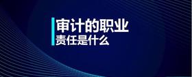 審計(jì)的職業(yè)責(zé)任是什么