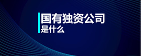 國有獨資公司是什么