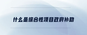 什么是綜合性項(xiàng)目政府補(bǔ)助