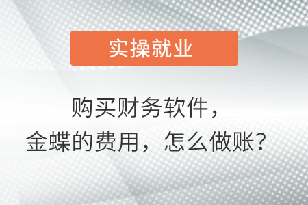 購買財務(wù)軟件，金蝶的費(fèi)用，怎么做賬？