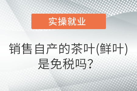 銷售自產的茶葉(鮮葉)是免稅嗎？
