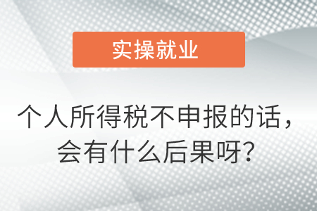 個(gè)人所得稅不申報(bào)的話，會(huì)有什么后果呀？