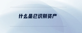 什么是已識別資產(chǎn)