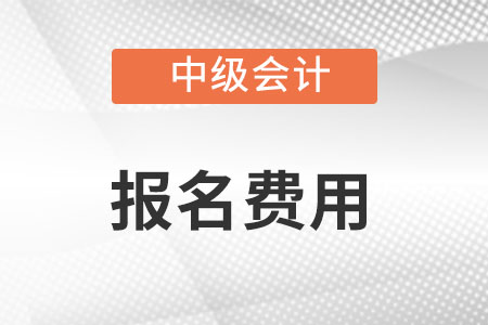 黑龍江省中級(jí)會(huì)計(jì)職稱考試報(bào)名費(fèi)用是多少