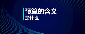 預(yù)算的含義是什么