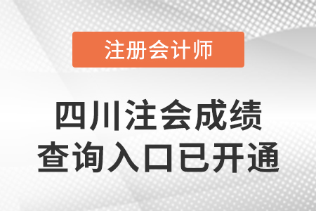2022年四川省資陽(yáng)注冊(cè)會(huì)計(jì)師成績(jī)查詢?nèi)肟谝验_通！快來查分！