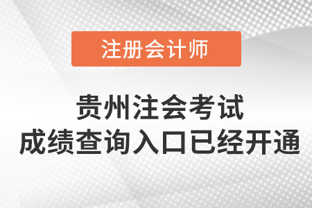 2022年貴州省安順注冊(cè)會(huì)計(jì)師考試成績查詢?nèi)肟谝验_通！