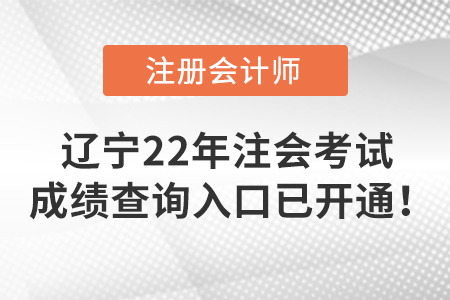 遼寧省沈陽2022年注冊(cè)會(huì)計(jì)師考試成績(jī)查詢?nèi)肟谝验_通！
