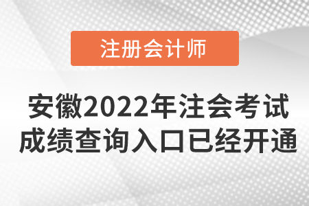 安徽省銅陵2022年注冊(cè)會(huì)計(jì)師考試成績(jī)查詢?nèi)肟谝验_(kāi)通！