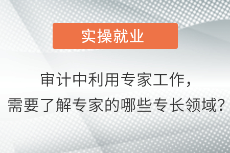 審計(jì)中利用專家工作，需要了解專家的哪些專長(zhǎng)領(lǐng)域？