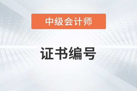 中級(jí)會(huì)計(jì)師證書(shū)號(hào)是哪一個(gè)你了解嗎？