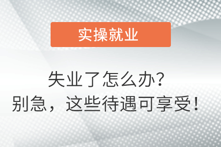失業(yè)了怎么辦？別急，這些待遇可享受！
