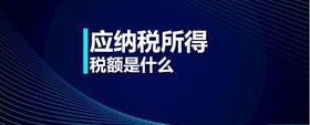 應(yīng)納稅所得稅額是什么