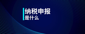 納稅申報是什么