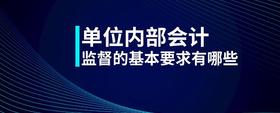 單位內(nèi)部會計監(jiān)督的基本要求有哪些