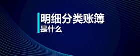 明細分類賬簿是什么