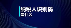 納稅人識別碼是什么