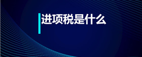 進項稅是什么