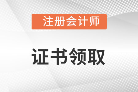 注冊會計師電子證書在哪里可以查到如何確定真假？