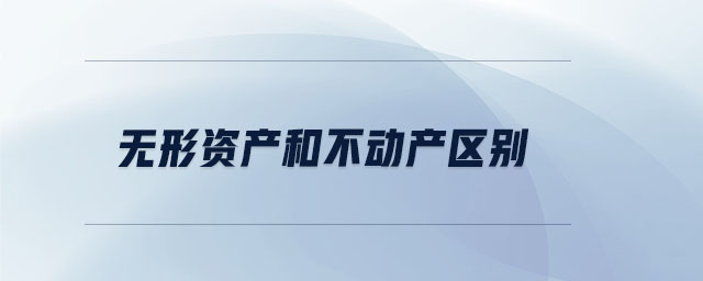 無形資產(chǎn)和不動產(chǎn)區(qū)別