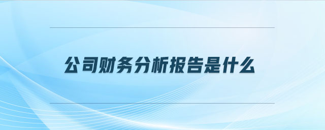 公司財(cái)務(wù)分析報(bào)告是什么