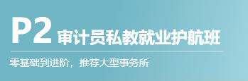 審計員護(hù)航班