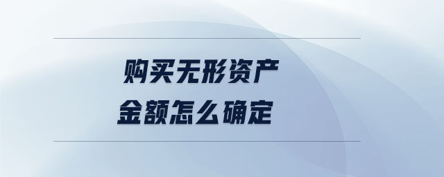 購買無形資產(chǎn)金額怎么確定