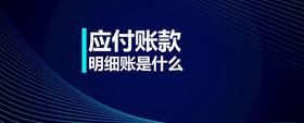 應(yīng)付賬款明細(xì)賬是什么