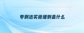 專利法實(shí)施細(xì)則是什么