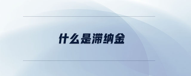 什么是滯納金