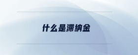 什么是滯納金