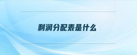 利潤分配表是什么