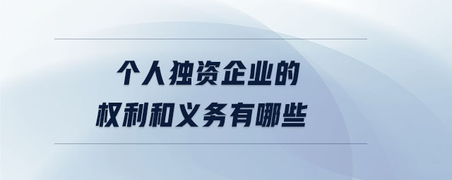 個人獨資企業(yè)的權(quán)利和義務(wù)有哪些