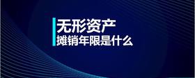 無形資產攤銷年限是什么