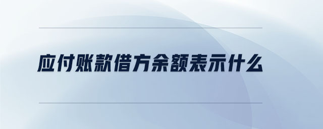應(yīng)付賬款借方余額表示什么