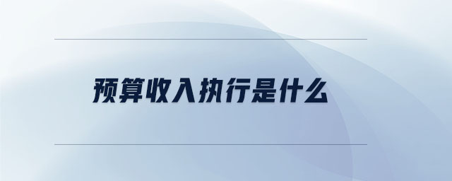 預(yù)算收入執(zhí)行是什么