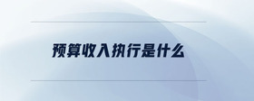 預(yù)算收入執(zhí)行是什么