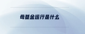 母基金運(yùn)行是什么