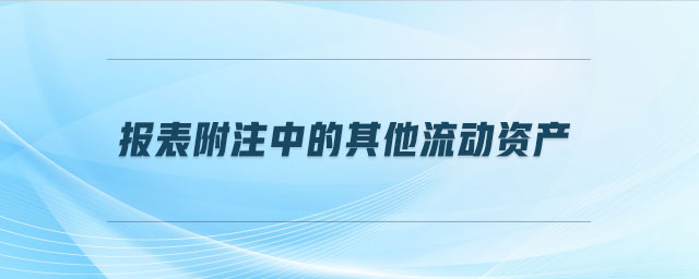 報(bào)表附注中的其他流動(dòng)資產(chǎn)