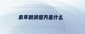 本年利潤借方是什么
