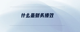 什么是財(cái)務(wù)績效