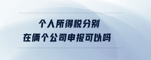 個(gè)人所得稅分別在倆個(gè)公司申報(bào)可以嗎