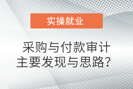 采購(gòu)與付款審計(jì)主要發(fā)現(xiàn)與思路？