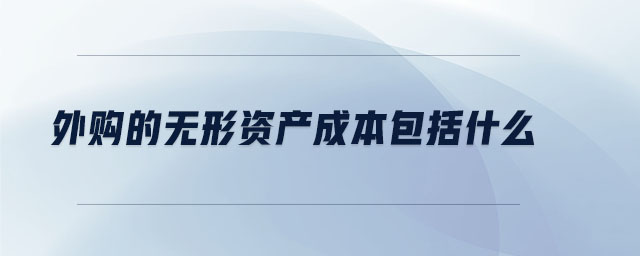 外購(gòu)的無(wú)形資產(chǎn)成本包括什么