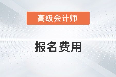 浙江省高級會計師報名費(fèi)用2023年是多少？