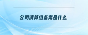 公司清算組備案是什么