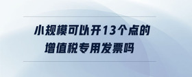 小規(guī)?？梢蚤_13個(gè)點(diǎn)的增值稅專用發(fā)票嗎